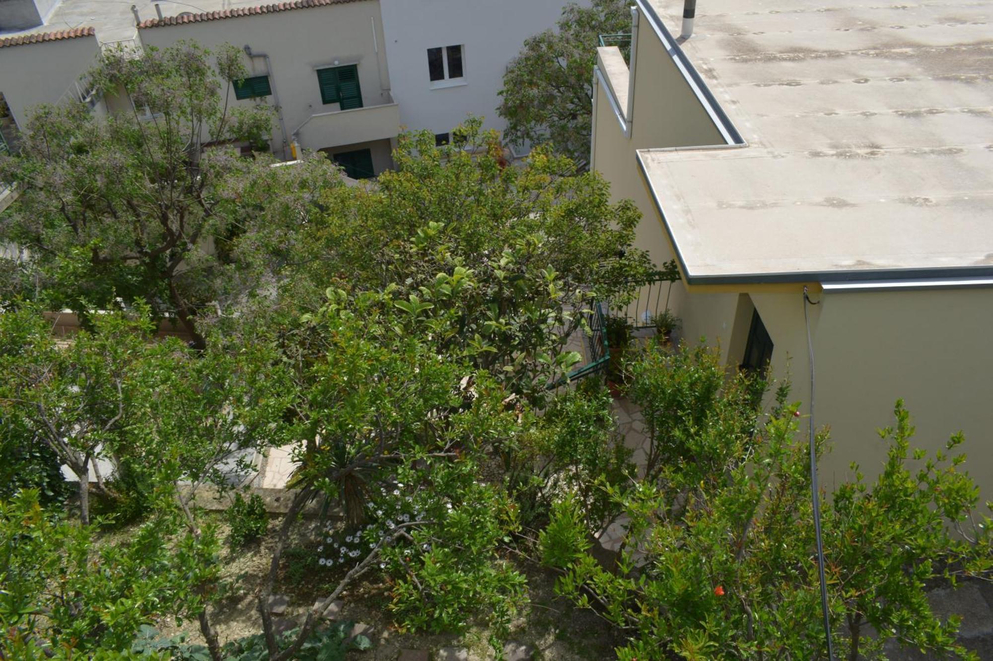 Apartment Antonella マカルスカ エクステリア 写真